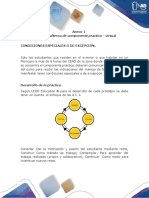 Anexo 1 - Guía alterna de componente practico - virtual.pdf