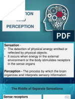 Sensation AND Perception