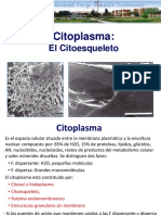 7 Citoplasma y citoesqueleto.ppt
