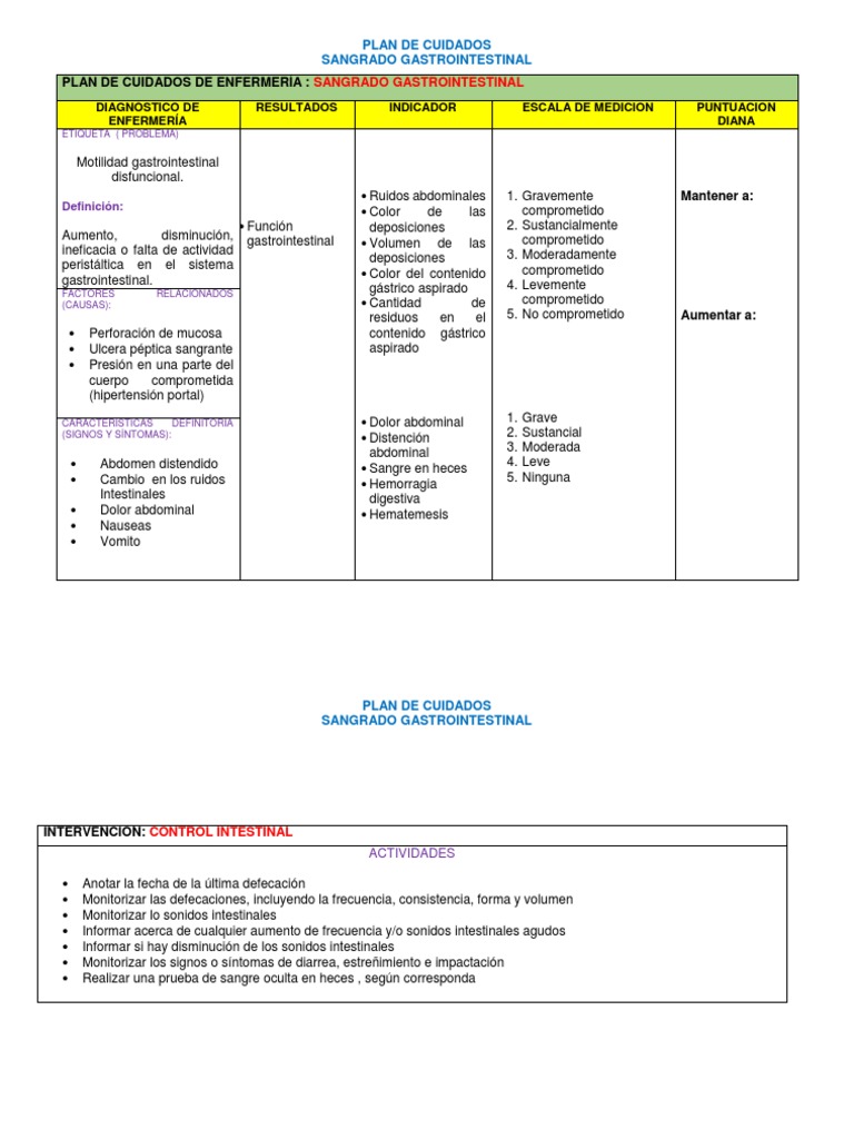 Como Hacer Un Plan De Cuidados De Enfermeria Ejemplos Pdf Idea De Hacer Images and Photos finder