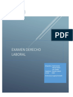 Examen Derecho Laboral Final(Integrantes) Luis Vasquez, Paula Aravena y Patricio Salazar)