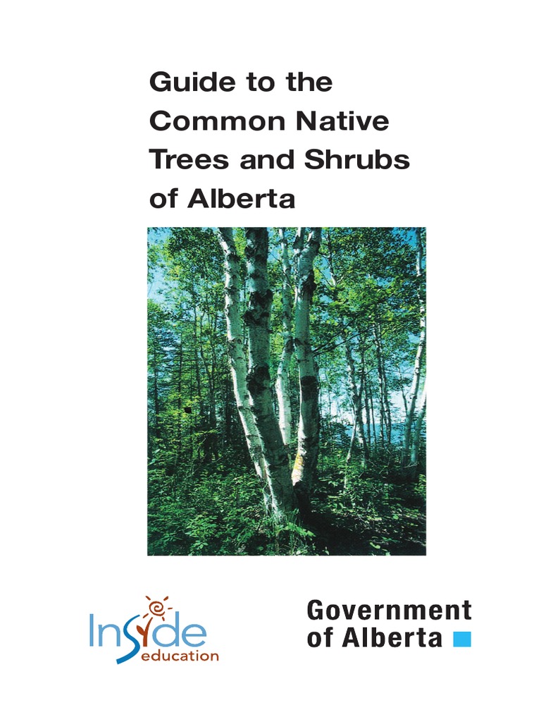 Alberta (N.D.) Guide To The Common Native Trees and Shrubs of Alberta PDF Leaf Plants