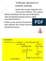 Lecture 5 Follicular Dynamics in Domestic Animals