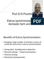 Lecture 6 Esstrus Synchronization