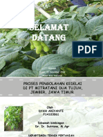 Laporan Magang Kedelai Dyah Ariyanti PDF
