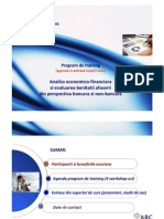 1. ABC Training Consulting_Analiza Economico Financiara(Dec 2010)