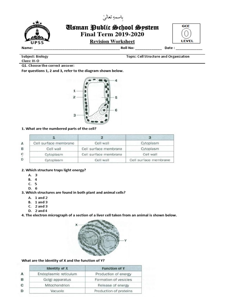 Cell Structure and Function | PDF | Organ (Anatomy) | Cell (Biology)