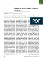 Breakthroughmoments Organoid Models Cancer