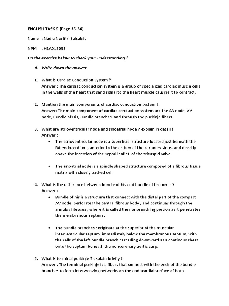 Overview of Cardiac Conduction System | PDF | Heart | Heart Valve
