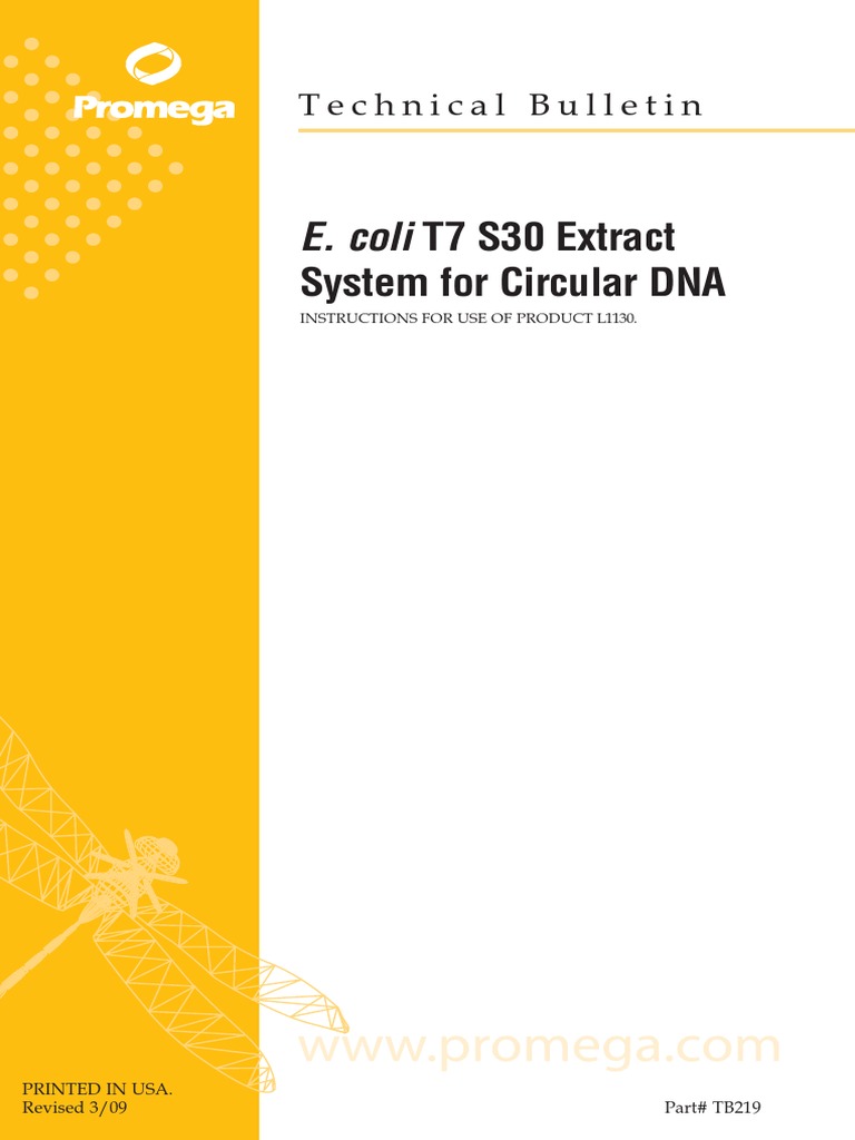 T7 Protocol Pdf | MEGAscript™ T7 Transcription Kit – WMPVD