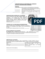 Observación Macroscópica de Órganos Del Aparato Digestivo y Respiratorio Humano