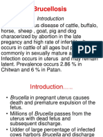 Brucellosis