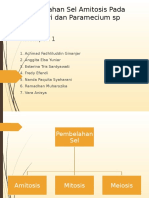 Pembelahan Sel Amitosis