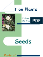 Unit On Plants: 1 Grade Ms. Arango