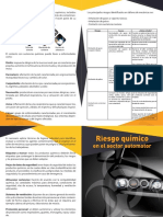 Riesgo_quimico_sector_automotriz.pdf