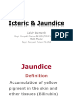 Icteric & Jaundice: Calvin Damanik