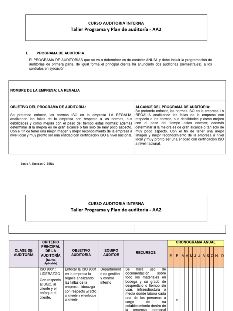 Formato Guia para Programa y Plan de Auditoria | PDF | Auditoría ...