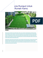 Inilah 7 Jenis Rumput Untuk Taman Di Rumah Kamu