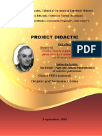 proiect_didactic_generic_serdesniuc.pdf