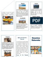 Triptico Desastres Naturales PDF