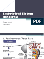 embriologi sistem pernapasan.pptx