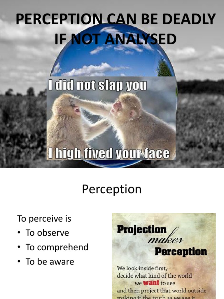Analyzing Perception: Key Insights | PDF | Perception | Neuropsychology