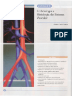 02- Embriologia e Histologia Do Sistema Vascular