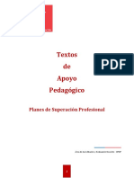 TextosdeApoyoPedagOgicoPSP_Definitivo4 (2).pdf