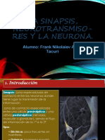 Trabajo de Neuro