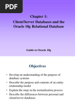 Client/Server Databases and The Oracle 10g Relational Database