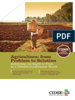 Agriculture From Problem to Solution CIDSE Dec2012