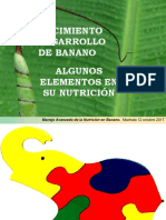 Crecimiento y Nutrición Banano Ana Martínez 1 PDF