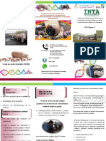 Brochure Promocionar Programa de Inseminación Artificial en Porcina