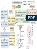 Fisiologia Del Dolor Abdominal