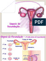 Desenv. Embrionario e Gestacao