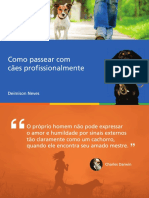 curso dog walker