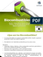 Bio Combustibles