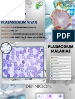 Plasmodium Malariae y Plasmodium Vivax