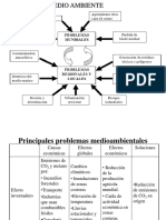 4 Problemas Ambientales