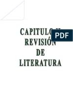 03 Agp 102 Revision de Literatura