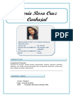 Curriculum Vitae Rosa Cruz