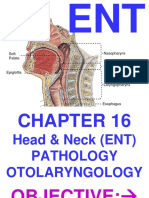 06 - Pathologianatomi THT