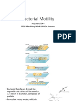 Bacterial Motility: Angkatan 17/4.4 PPDS Mikrobiologi Klinik RSUD Dr. Soetomo