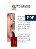 Cultivo Faringeo