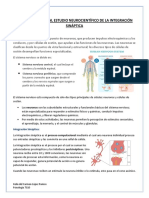 Integración sináptica y métodos de estudio en memoria