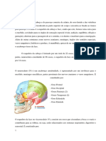 Anatomia_Cabeça_V1.docx