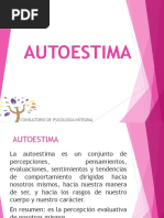 Auto Estim A