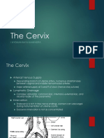 The Anatomy and Functions of the Cervix