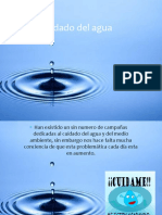 El Cuidado Del Agua (1)