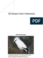 10 Hewan Dari Indonesia